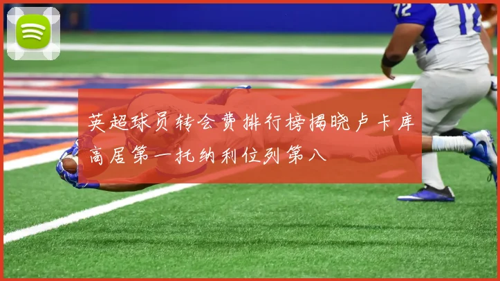英超球员转会费排行榜揭晓卢卡库高居第一托纳利位列第八