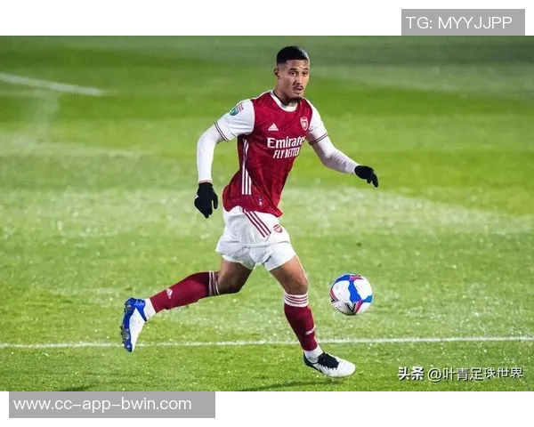 英超前十轮零封数据分析拉亚和加布表现突出萨利巴廷伯波普紧随其后 英超前十轮零封数据分析拉亚和加布表现突出萨利巴廷伯波普紧随其后