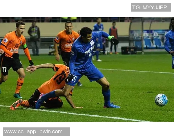 山东蜜獾新赛季注册名单正式公布双主场模式引发期待与关注